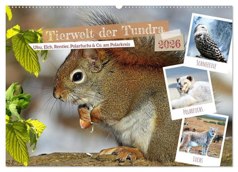 Tierwelt der Tundra (Wandkalender 2026 DIN A2 quer), CALVENDO Monatskalender