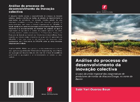Análise do processo de desenvolvimento da inovação colectiva