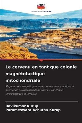Le cerveau en tant que colonie magnétotactique mitochondriale