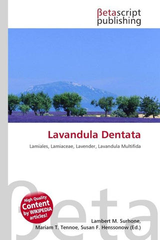 Lavandula Dentata