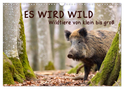 ES WIRD WILD Wildtiere von klein bis groß (Wandkalender 2026 DIN A3 quer), CALVENDO Monatskalender