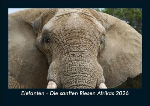 Elefanten - Die sanften Riesen Afrikas 2026 Fotokalender DIN A5