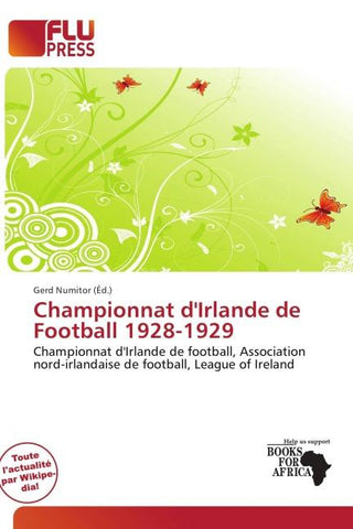 Championnat d'Irlande de Football 1928-1929