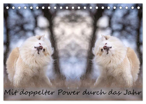 Mit doppelter Power durch das Jahr (Tischkalender 2026 DIN A5 quer), CALVENDO Monatskalender