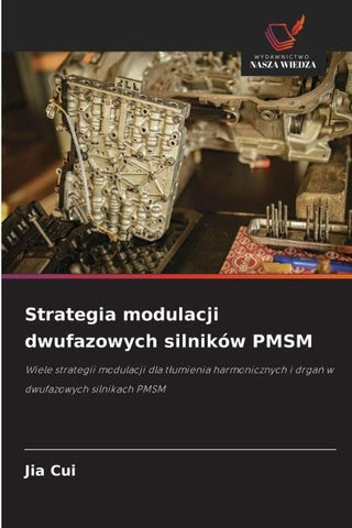 Strategia modulacji dwufazowych silników PMSM