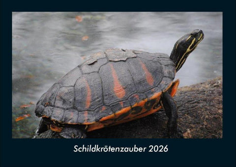 Schildkrötenzauber 2026 Fotokalender DIN A4