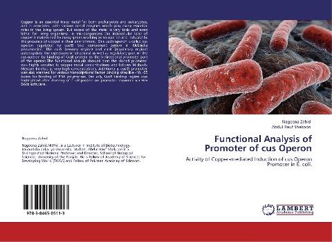 Functional Analysis of Promoter of cus Operon