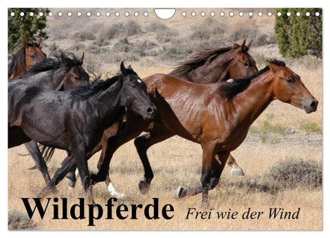 Wildpferde. Frei wie der Wind (Wandkalender 2026 DIN A4 quer), CALVENDO Monatskalender