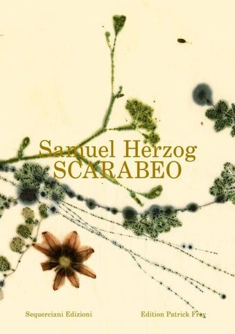 Scarabeo (DE)