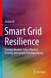 Smart Grid Resilience