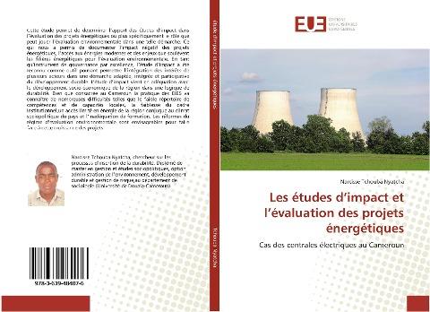 Les études d'impact et l'évaluation des projets énergétiques