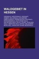 Waldgebiet in Hessen