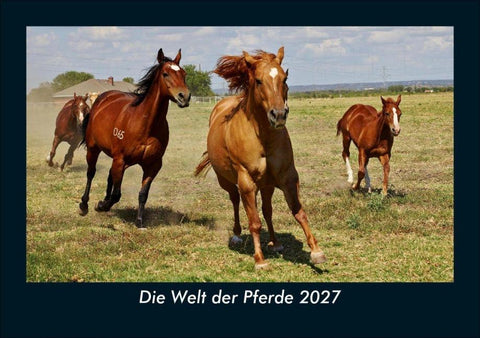 Die Welt der Pferde 2027 Fotokalender DIN A5