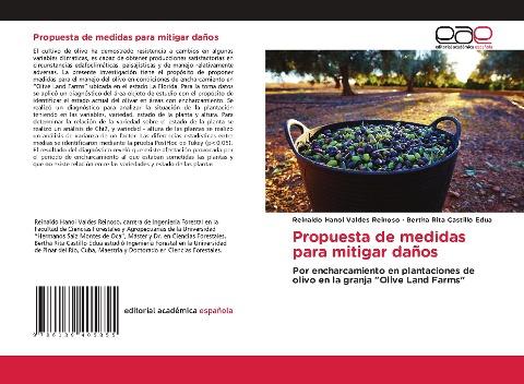 Propuesta de medidas para mitigar daños