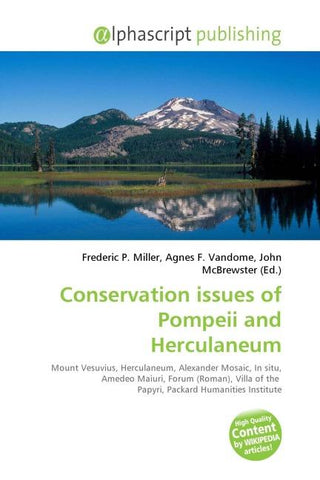 Conservation issues of Pompeii and Herculaneum