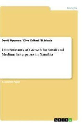 Determinants of Growth for Small and Medium Enterprises in Namibia
