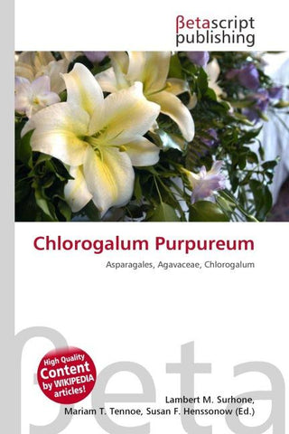 Chlorogalum Purpureum