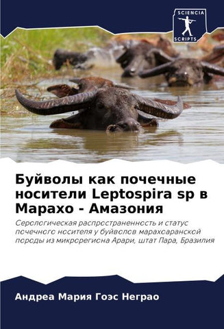 Bujwoly kak pochechnye nositeli Leptospira sp w Maraho - Amazoniq