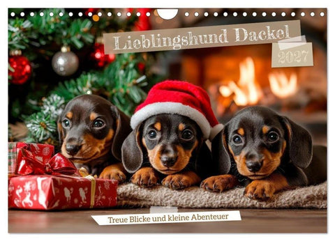 Lieblingshund Dackel (Wandkalender 2027 DIN A4 quer), CALVENDO Monatskalender