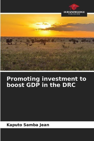 Promoting investment to boost GDP in the DRC