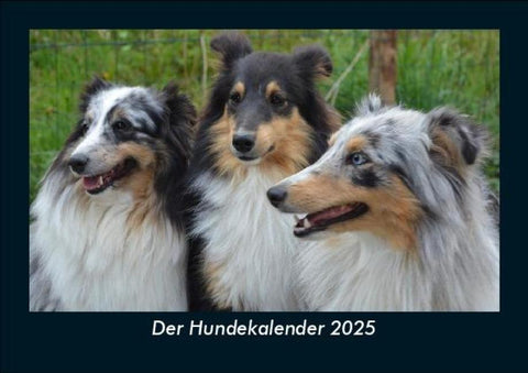 Der Hundekalender 2025 Fotokalender DIN A5