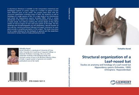Structural organization of a Leaf-nosed bat