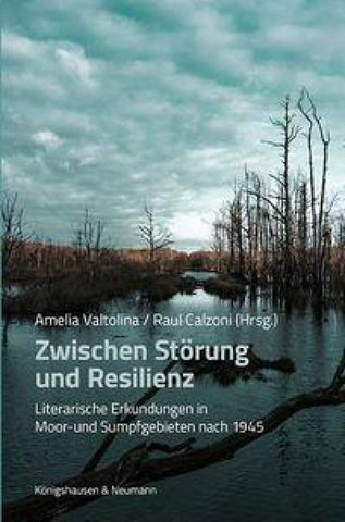 Zwischen Störung und Resilienz