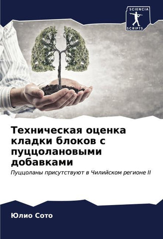 Tehnicheskaq ocenka kladki blokow s puccolanowymi dobawkami