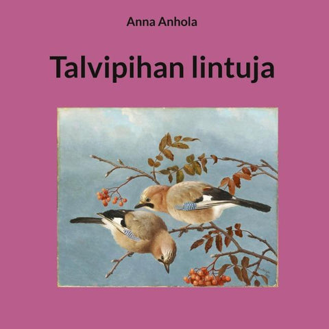 Talvipihan lintuja