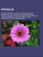 Physalis