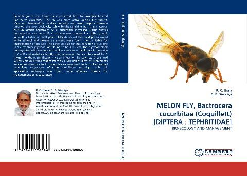 MELON FLY, Bactrocera cucurbitae (Coquillett) [DIPTERA : TEPHRITIDAE]