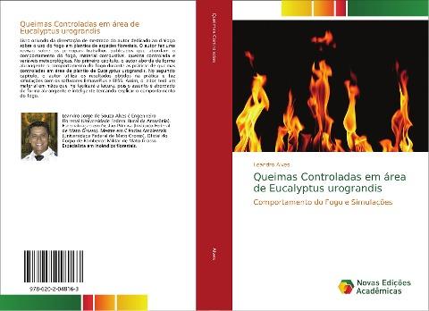Queimas Controladas em área de Eucalyptus urograndis
