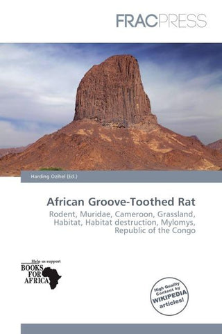 African Groove-Toothed Rat