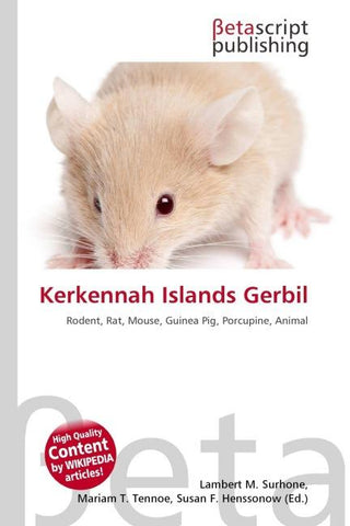 Kerkennah Islands Gerbil