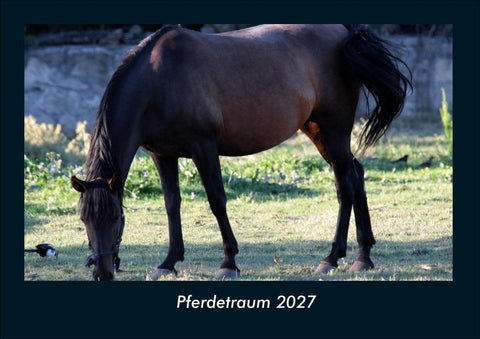 Pferdetraum 2027 Fotokalender DIN A4