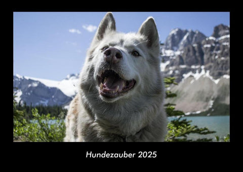 Hundezauber 2025 Fotokalender DIN A3