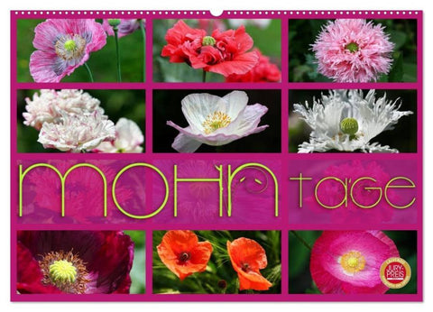 Mohn Tage (Wandkalender 2026 DIN A2 quer), CALVENDO Monatskalender
