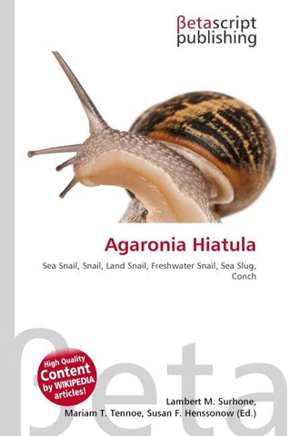 Agaronia Hiatula