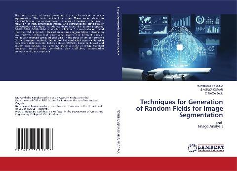 Techniques for Generation of Random Fields for Image Segmentation
