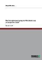 Die Energieversorgung der EU-Länder aus strategischer Sicht