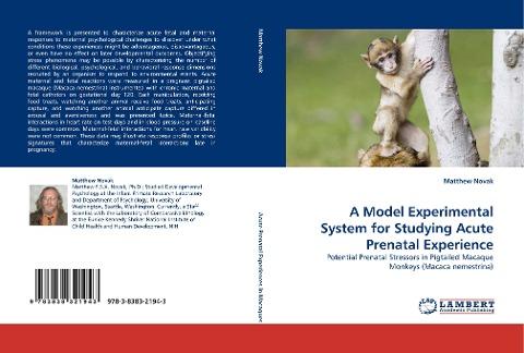 A Model Experimental System for Studying Acute Prenatal Experience