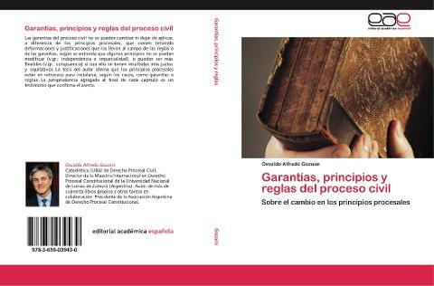 Garantías, principios y reglas del proceso civil