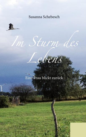 Im Sturm des Lebens