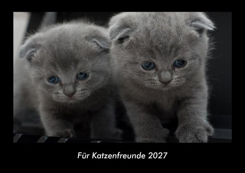 Für Katzenfreunde 2027 Fotokalender DIN A3