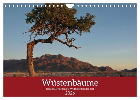 Wüstenbäume (Wandkalender 2026 DIN A4 quer), CALVENDO Monatskalender