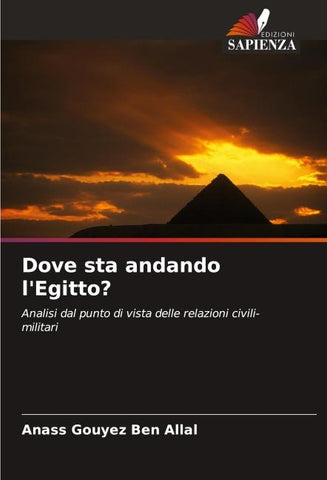 Dove sta andando l'Egitto?