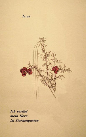 Ich verlief mein Herz im Dornengarten