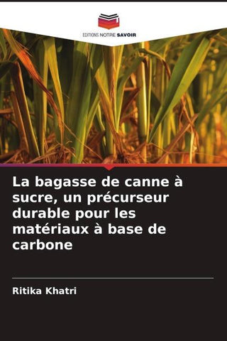 La bagasse de canne à sucre, un précurseur durable pour les matériaux à base de carbone