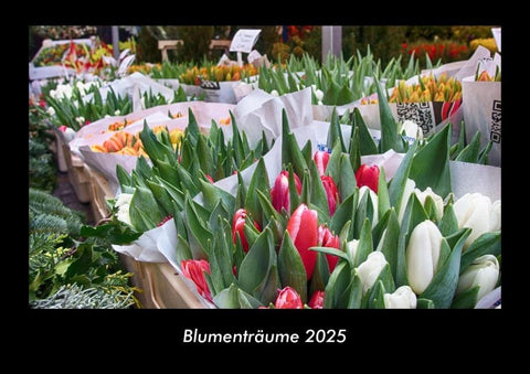 Blumenträume 2025 Fotokalender DIN A3