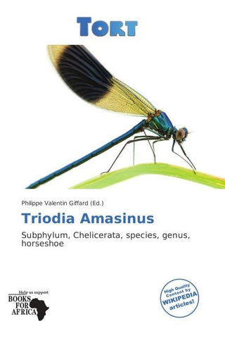 Triodia Amasinus
